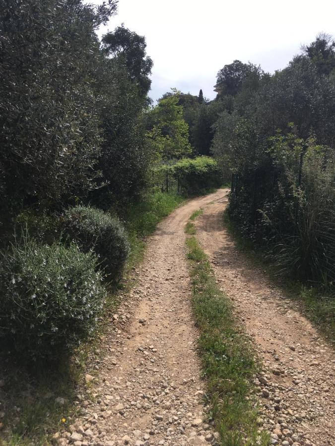 Cottage Pura Vigna Immerso Nella Natura Vicino Al Mare Porto Santo Stefano  Ngoại thất bức ảnh