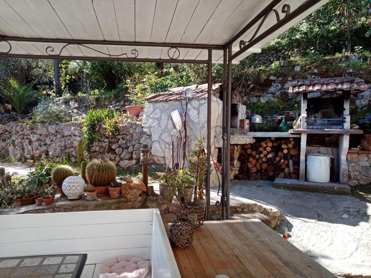 Cottage Pura Vigna Immerso Nella Natura Vicino Al Mare Porto Santo Stefano  Ngoại thất bức ảnh
