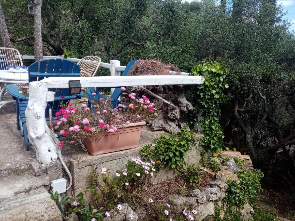 Cottage Pura Vigna Immerso Nella Natura Vicino Al Mare Porto Santo Stefano  Ngoại thất bức ảnh