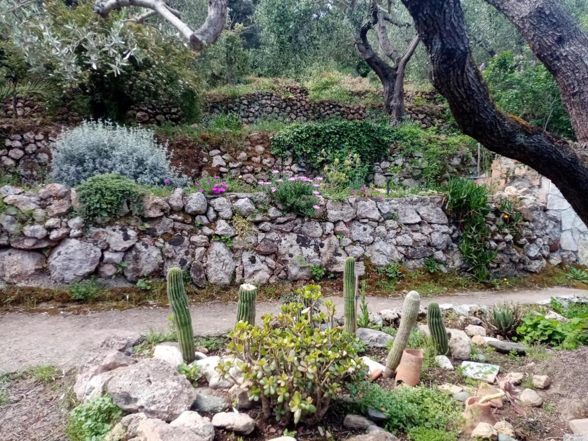Cottage Pura Vigna Immerso Nella Natura Vicino Al Mare Porto Santo Stefano  Ngoại thất bức ảnh
