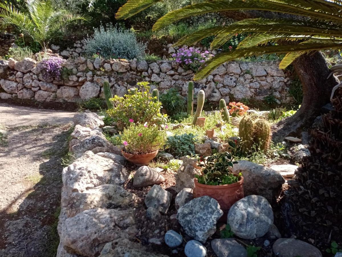 Cottage Pura Vigna Immerso Nella Natura Vicino Al Mare Porto Santo Stefano  Ngoại thất bức ảnh
