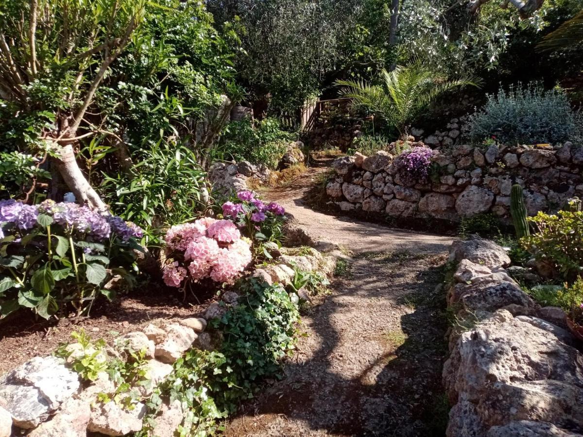 Cottage Pura Vigna Immerso Nella Natura Vicino Al Mare Porto Santo Stefano  Ngoại thất bức ảnh