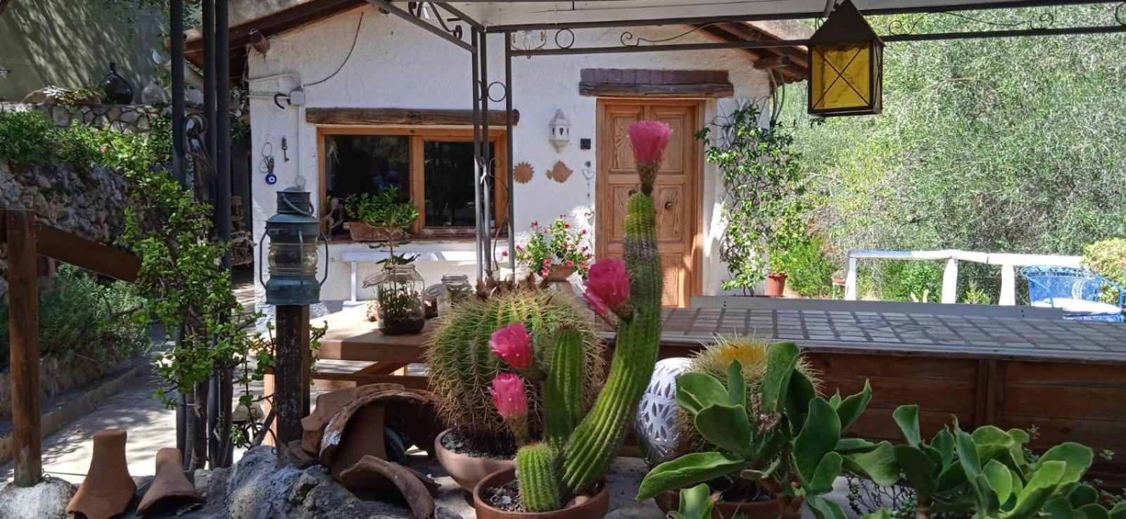 Cottage Pura Vigna Immerso Nella Natura Vicino Al Mare Porto Santo Stefano  Ngoại thất bức ảnh