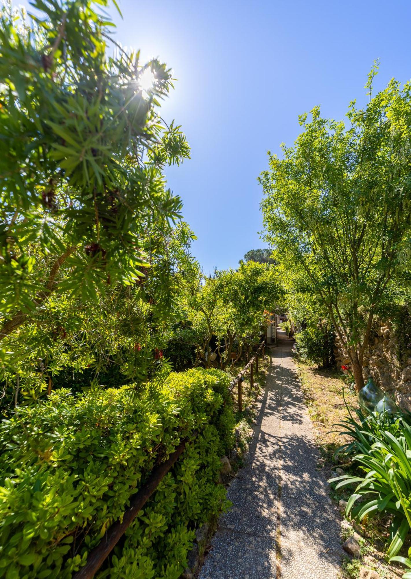 Cottage Pura Vigna Immerso Nella Natura Vicino Al Mare Porto Santo Stefano  Ngoại thất bức ảnh