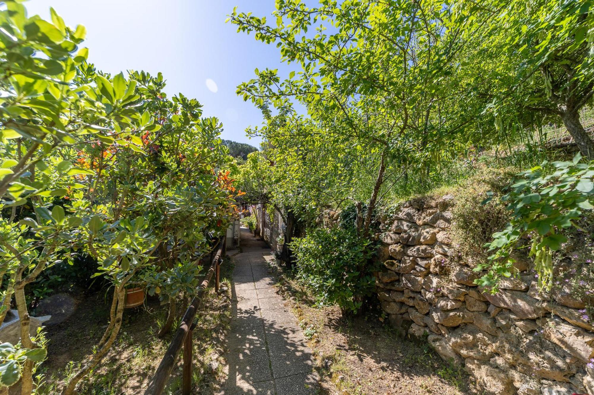 Cottage Pura Vigna Immerso Nella Natura Vicino Al Mare Porto Santo Stefano  Ngoại thất bức ảnh