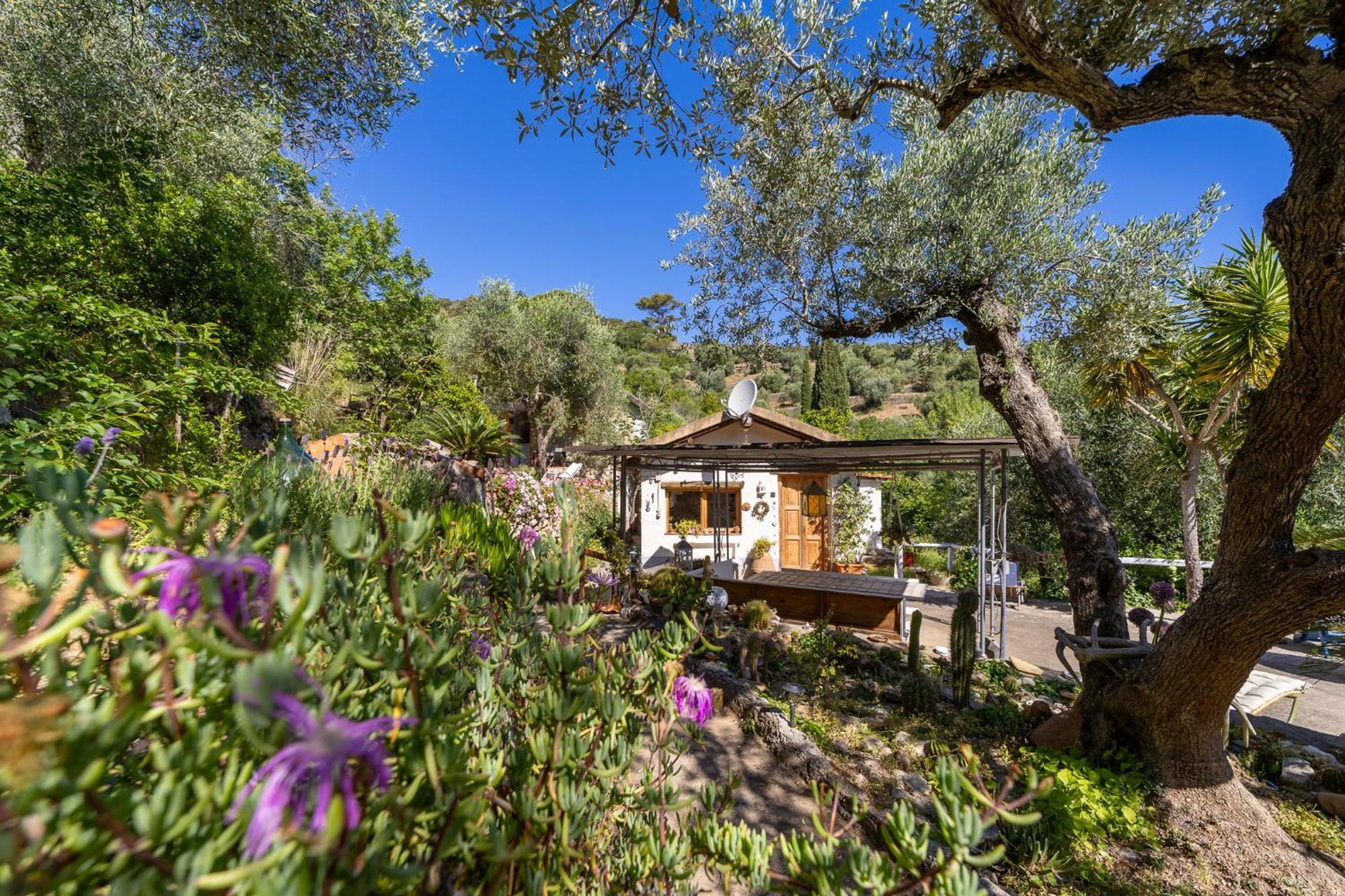 Cottage Pura Vigna Immerso Nella Natura Vicino Al Mare Porto Santo Stefano  Ngoại thất bức ảnh