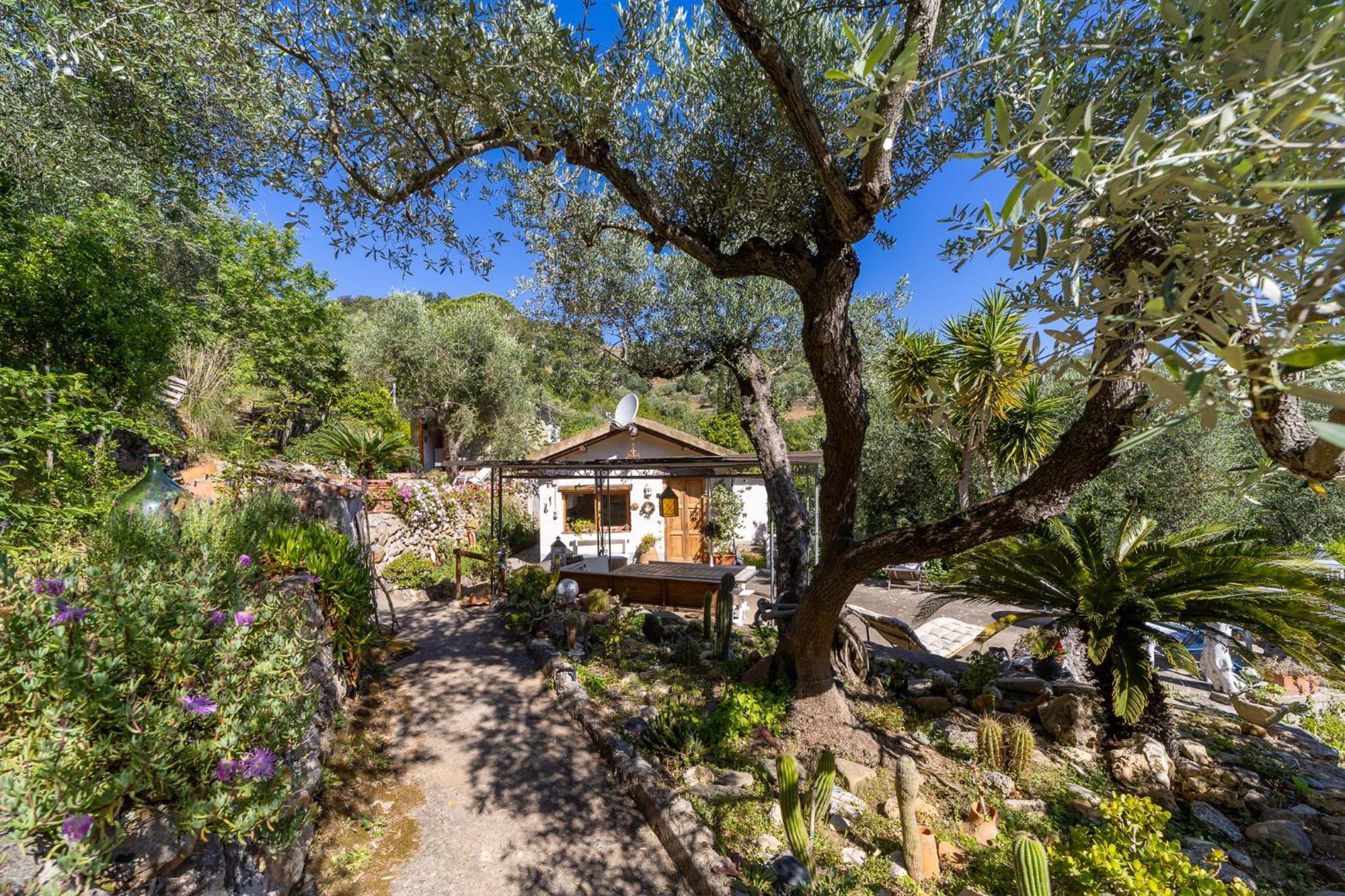 Cottage Pura Vigna Immerso Nella Natura Vicino Al Mare Porto Santo Stefano  Ngoại thất bức ảnh